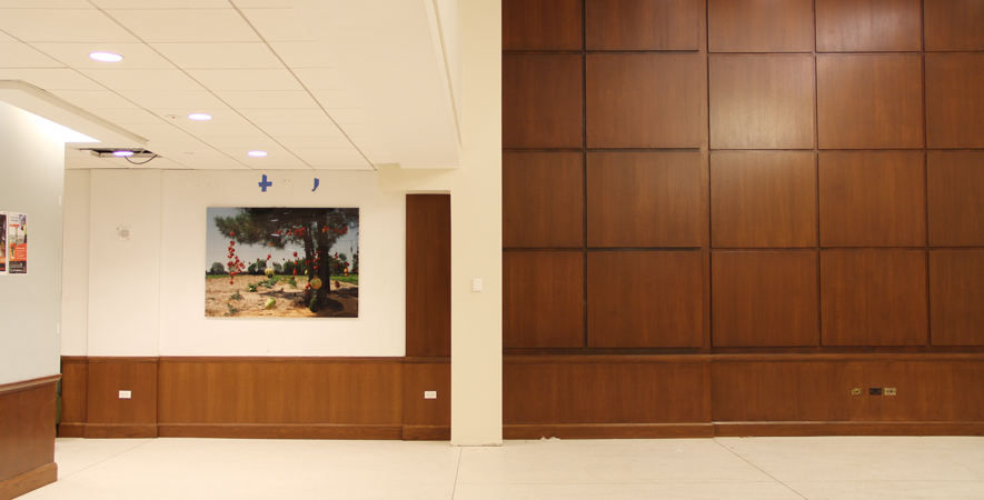 NYU-Hayden-Hall-01